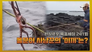 돌문어 사냥꾼의 특별한 '미끼'는? [현장르포 특종세상 241회]  썸네..