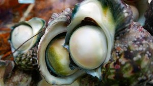 일본 거리 음식 - 거대한 바다 달팽이 오키나와 일본 해산물 썸네일 이미..