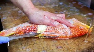 일본 거리 음식 - 금점 송어 물고기 오키나와 해물 일본 썸네일 이미지